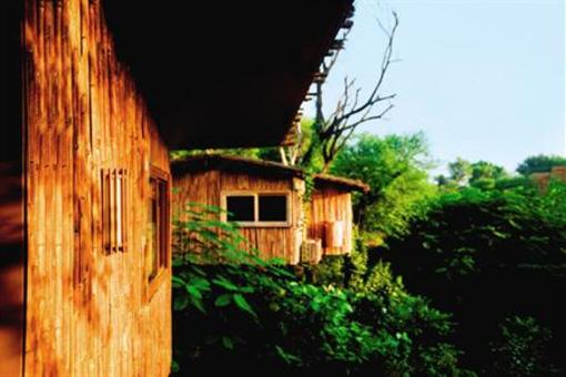 фото отеля The Tree House Resort