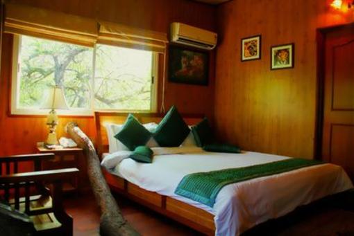 фото отеля The Tree House Resort
