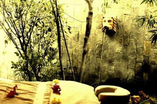 фото отеля The Tree House Resort