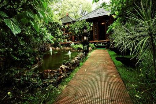 фото отеля The Tree House Resort
