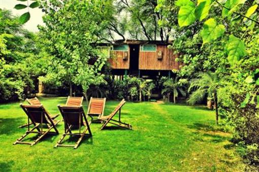 фото отеля The Tree House Resort