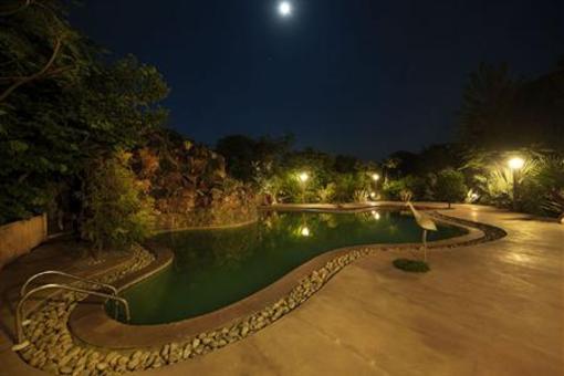 фото отеля The Tree House Resort