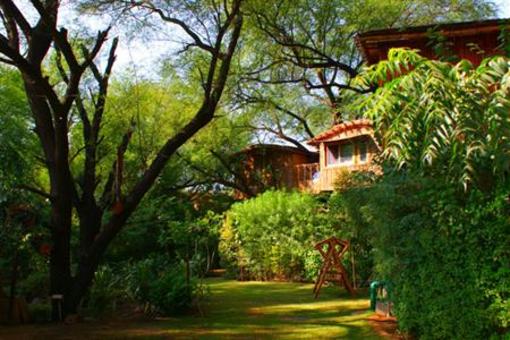 фото отеля The Tree House Resort