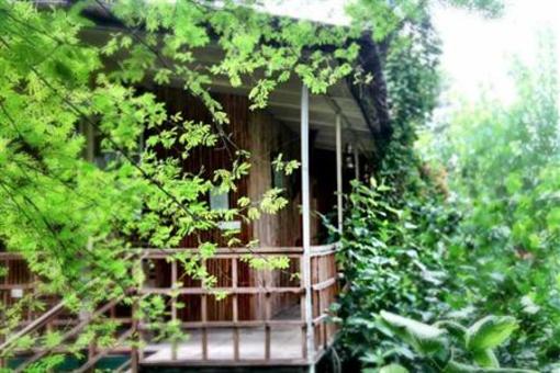 фото отеля The Tree House Resort