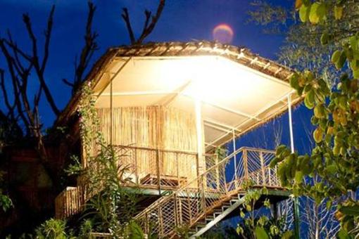 фото отеля The Tree House Resort