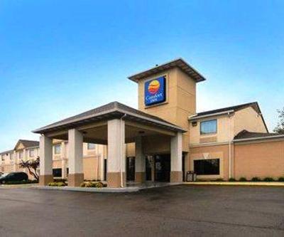фото отеля Comfort Inn North Columbus (Ohio)