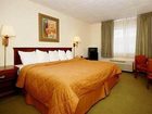 фото отеля Comfort Inn North Columbus (Ohio)