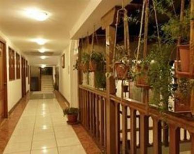 фото отеля Pacha Hotel Museo