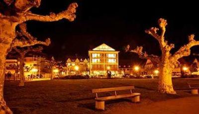 фото отеля Seehotel Litz