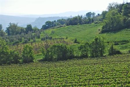 фото отеля Agriturismo La Rocca Orvieto