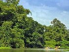 фото отеля Gamboa Rainforest Resort