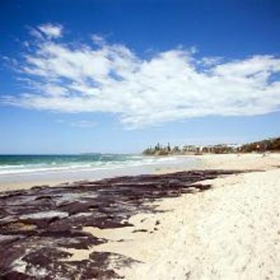 фото отеля Breakfree Alexandra Beach Premier Resort