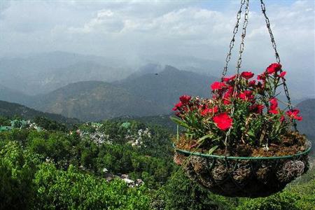 фото отеля Hotel Mount View Dalhousie