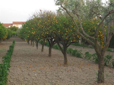 фото отеля Agriturismo Agriclub Le Giare