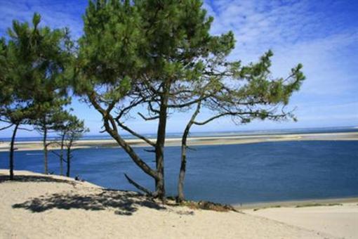 фото отеля Holiday Inn Bordeaux Sud Pessac