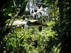 фото отеля Kuranda Rainforest Accom Park