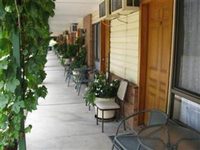 The Wayfarer Motel