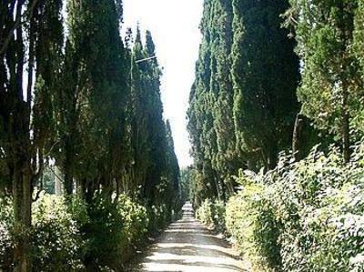 фото отеля Villa Cambi Bed & Breakfast Siena