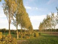 Treetops Barnetby