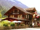 фото отеля Hotel Altels