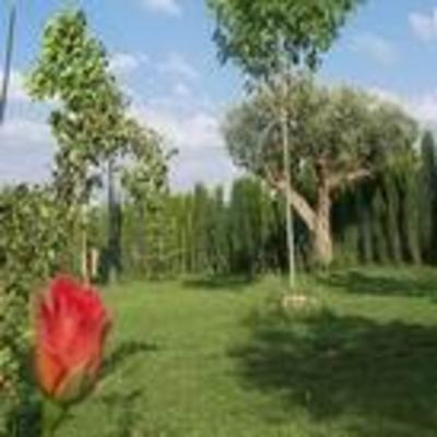 фото отеля Hotel Los Canas