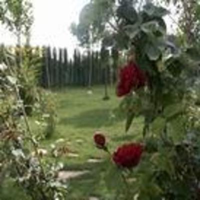 фото отеля Hotel Los Canas