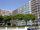 фото отеля Apartamento Las Palmeras