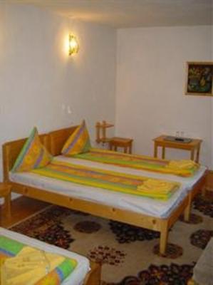 фото отеля Pension Casa Alba Slanic Moldova