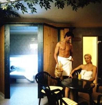 фото отеля Alpinhotel Traubenwirt Birgitz
