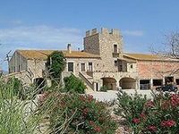 Mas la Torre