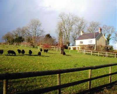 фото отеля Gilfach Farmhouse Bed & Breakfast St Clears