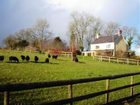 фото отеля Gilfach Farmhouse Bed & Breakfast St Clears