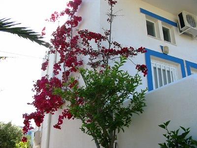 фото отеля Nefeli Apartments Kefalos