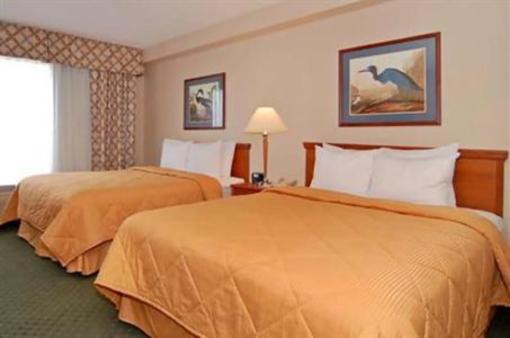 фото отеля Comfort Suites Maingate East