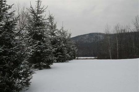 фото отеля Hampton Inn & Suites Berkshires