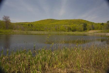 фото отеля Hampton Inn & Suites Berkshires