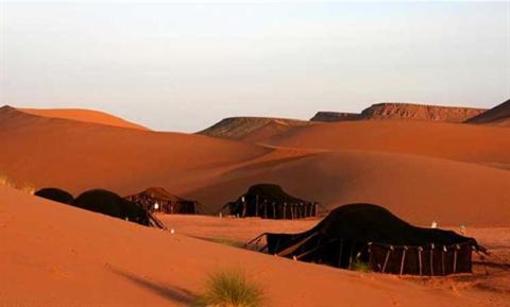 фото отеля Camel Safari Camp
