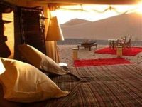 Camel Safari Camp