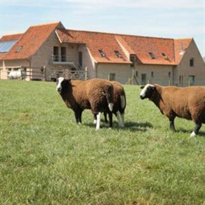 фото отеля Het Bintjeshof Bed and Breakfast Kortrijk