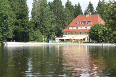 фото отеля Hotel Waldsee Lindenberg im Allgau