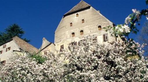 фото отеля Garni Meinrad