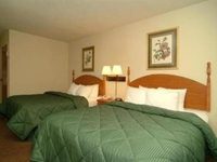 Comfort Inn Walcott