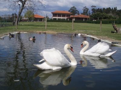 фото отеля Quinta De Santa Comba