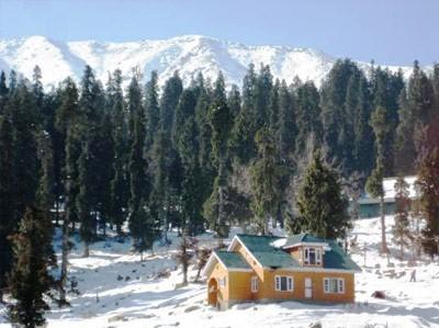 фото отеля Grand Mumtaz Resorts Gulmarg