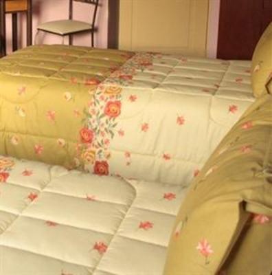 фото отеля Hotel Prince Santiago