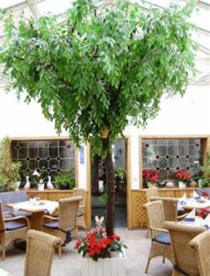 фото отеля Hotel-Restaurant Thormahlen