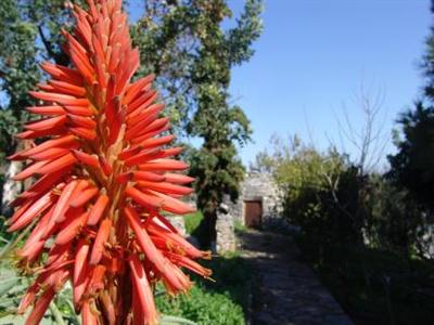 фото отеля Arolithos Traditional Cretan Village