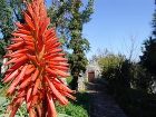 фото отеля Arolithos Traditional Cretan Village