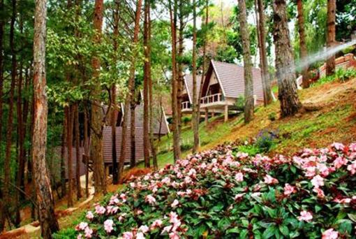 фото отеля Minh Tam Hotel Dalat