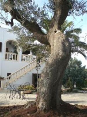 фото отеля Masseria Salinola